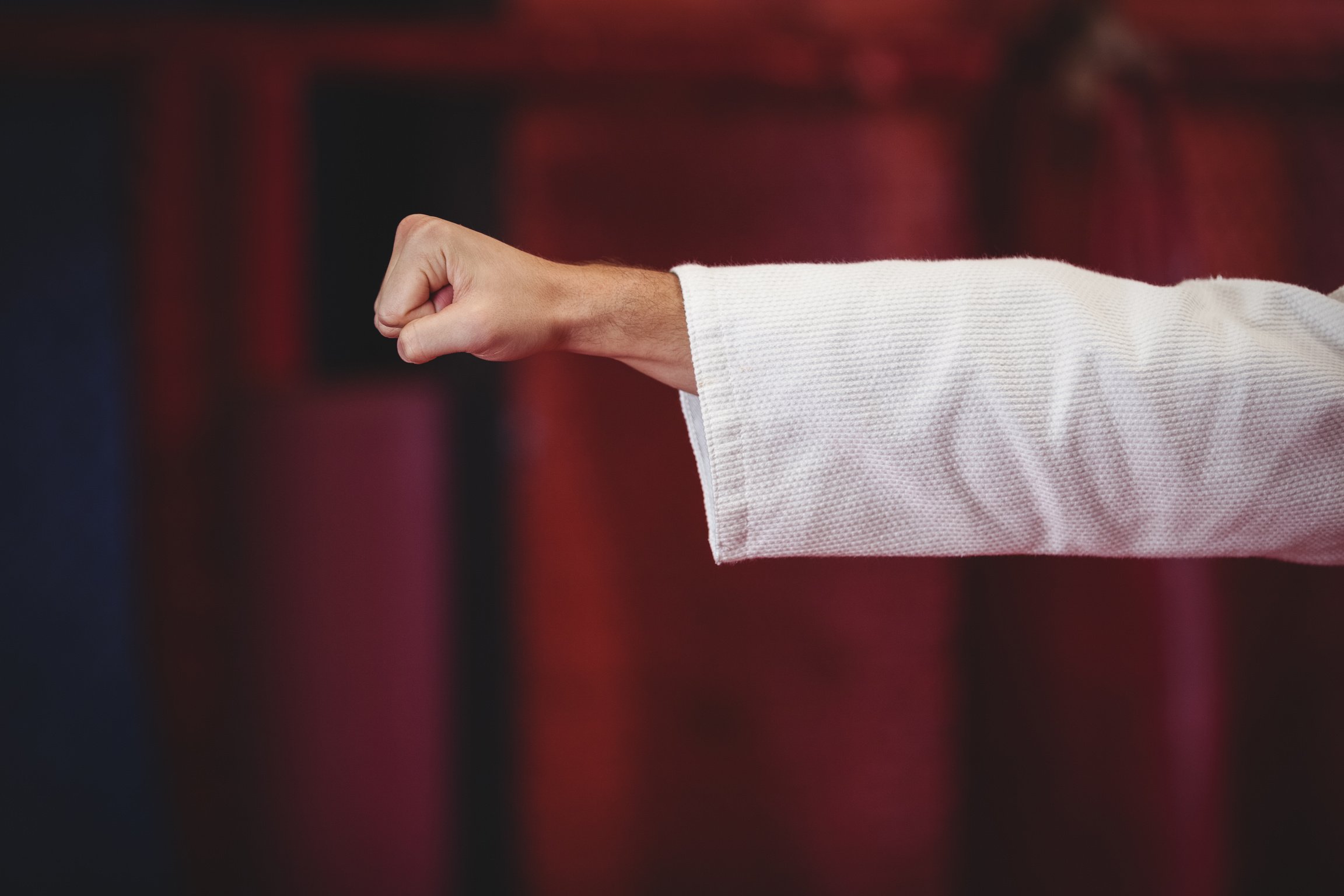 Karate player performing karate stance